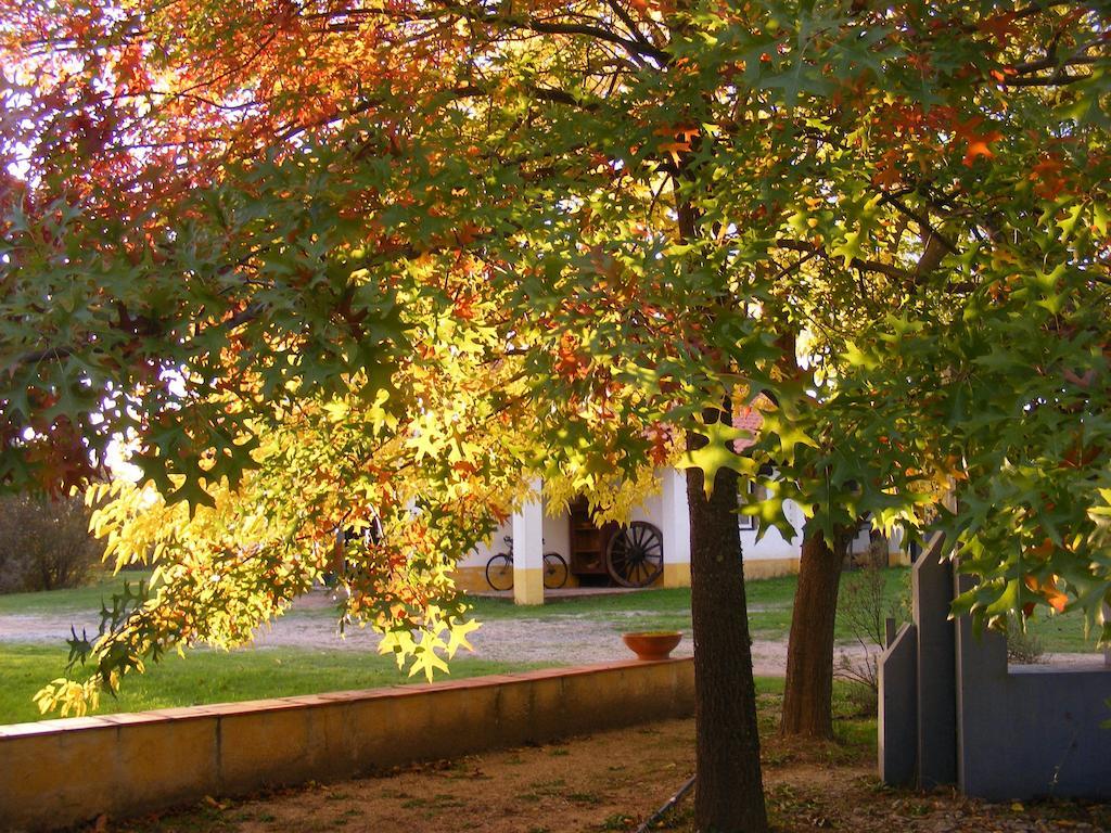 Quinta Dos Trevos - Artes E Oficios Ladoeiro
