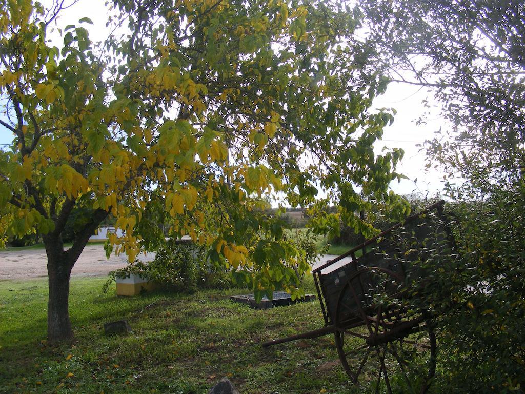Quinta Dos Trevos - Artes E Oficios Ladoeiro