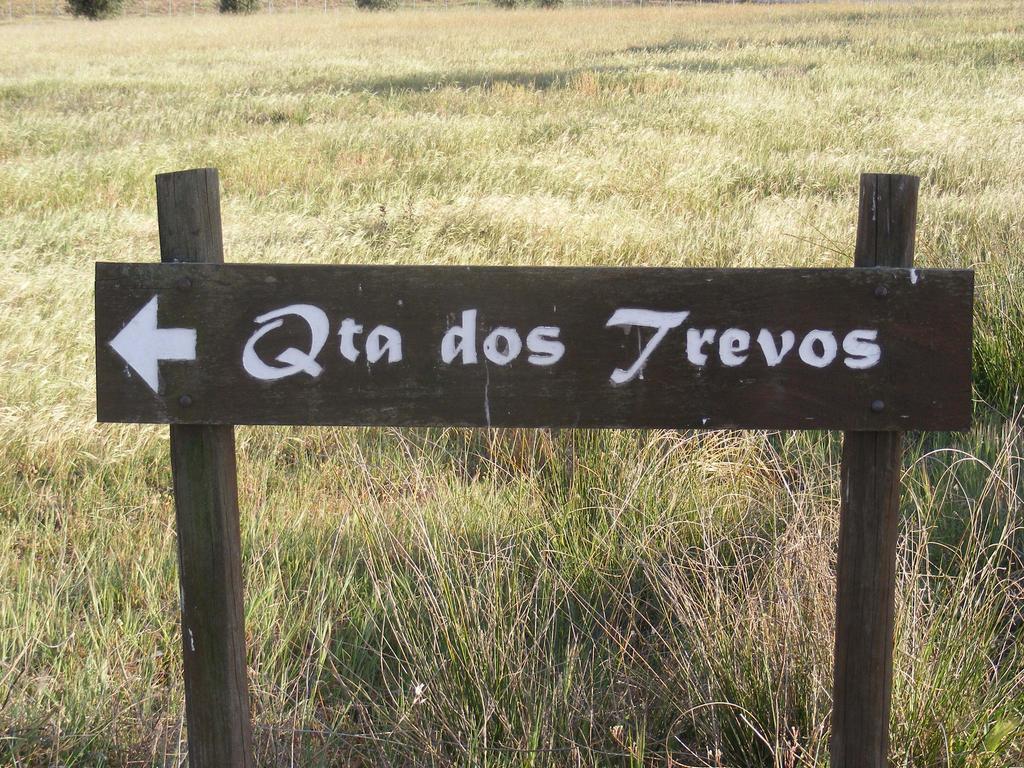 Séjour à la ferme Quinta Dos Trevos - Artes E Oficios